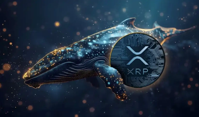 xrp ripple balinalar topluyor
