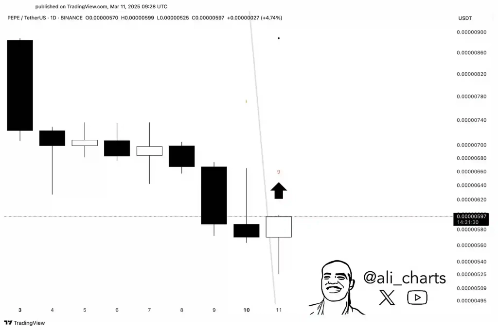 PEPE Balinaları 689 Milyar Token Satın Aldı! - 3 Resim - 2