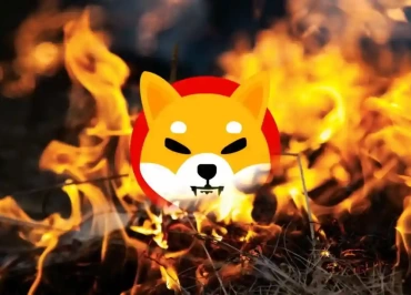 shiba inunun yakimi yapildi