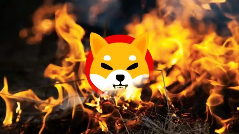 shiba inunun yakimi yapildi