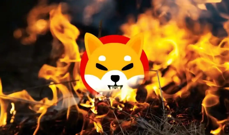 shiba inunun yakimi yapildi