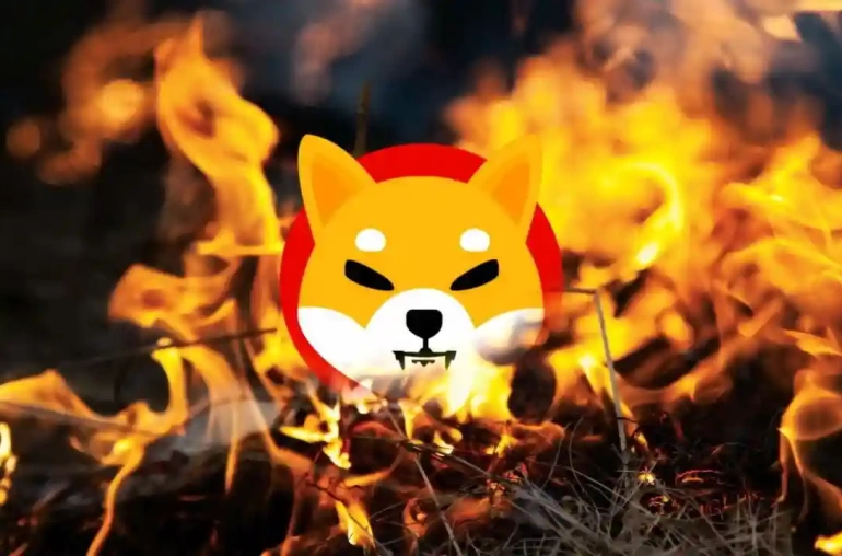 shiba inunun yakimi yapildi
