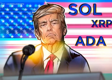 xrp cardona solana neden yükseliyor