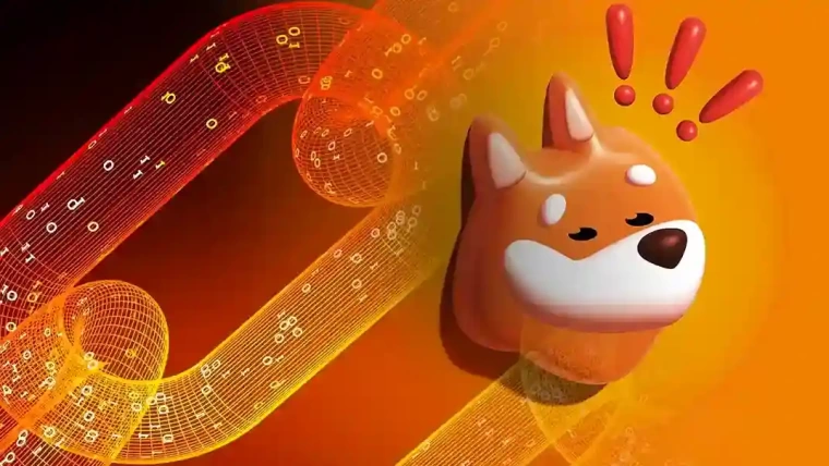 bonk coin yukselis geliyor