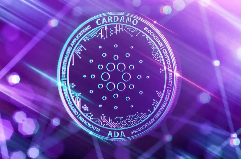 cardano ada kimlik dogrulama