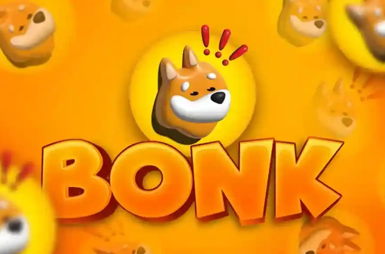 bonk coin kripto para