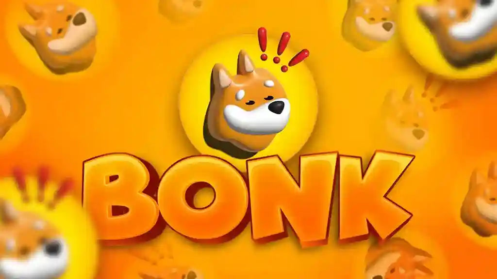 bonk coin kripto para