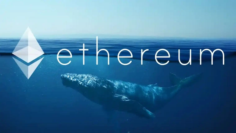 eth balinalari ethereumu topluyorlar