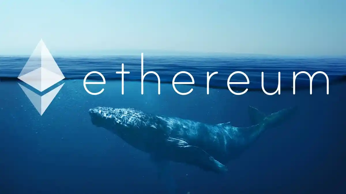 eth balinalari ethereumu topluyorlar