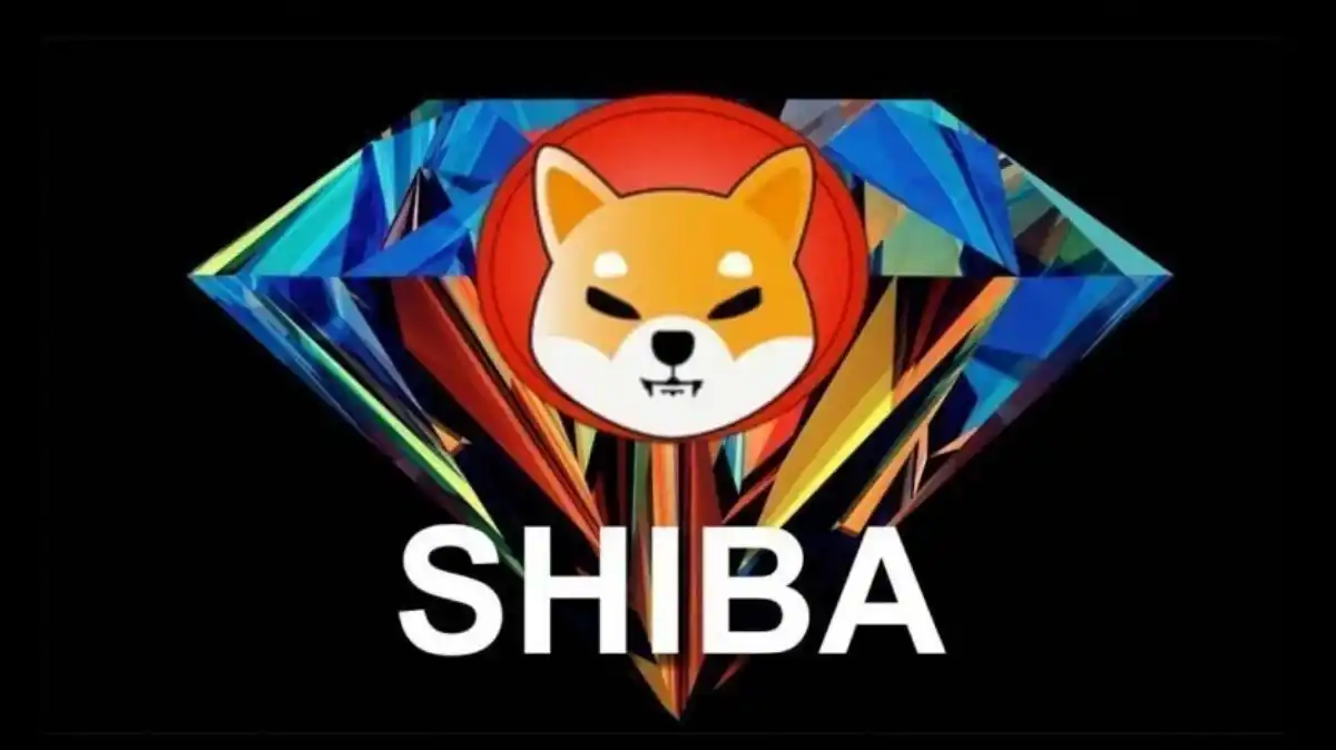 shiba inu coin direnc seviyeleri