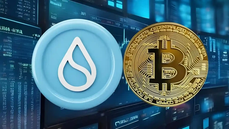 btc sui kripto