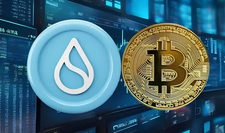 btc sui kripto