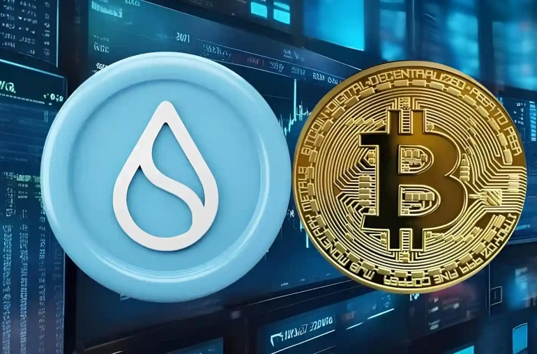 btc sui kripto
