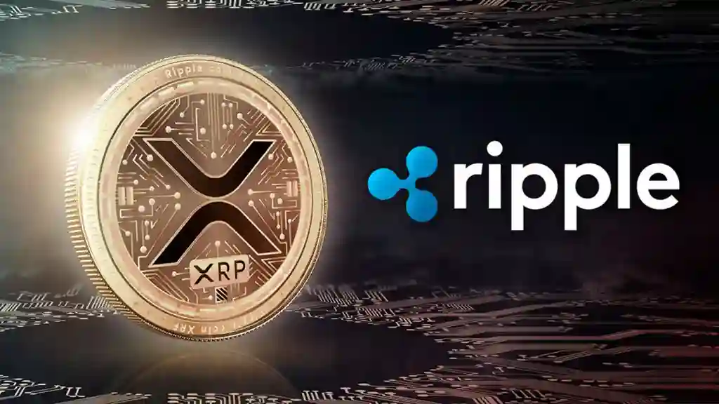 Ripple XRP global firma alt yapı