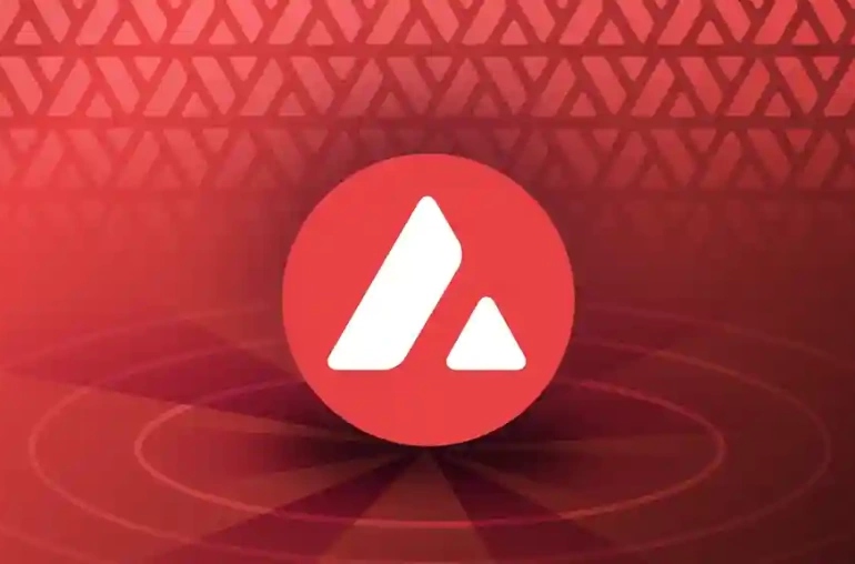 Avalanche hazine firma fiyat analiz
