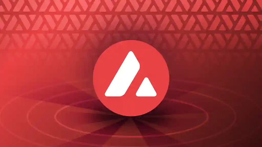 Avalanche hazine firma fiyat analiz