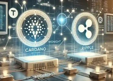 Cardano ada Ripple xrp night