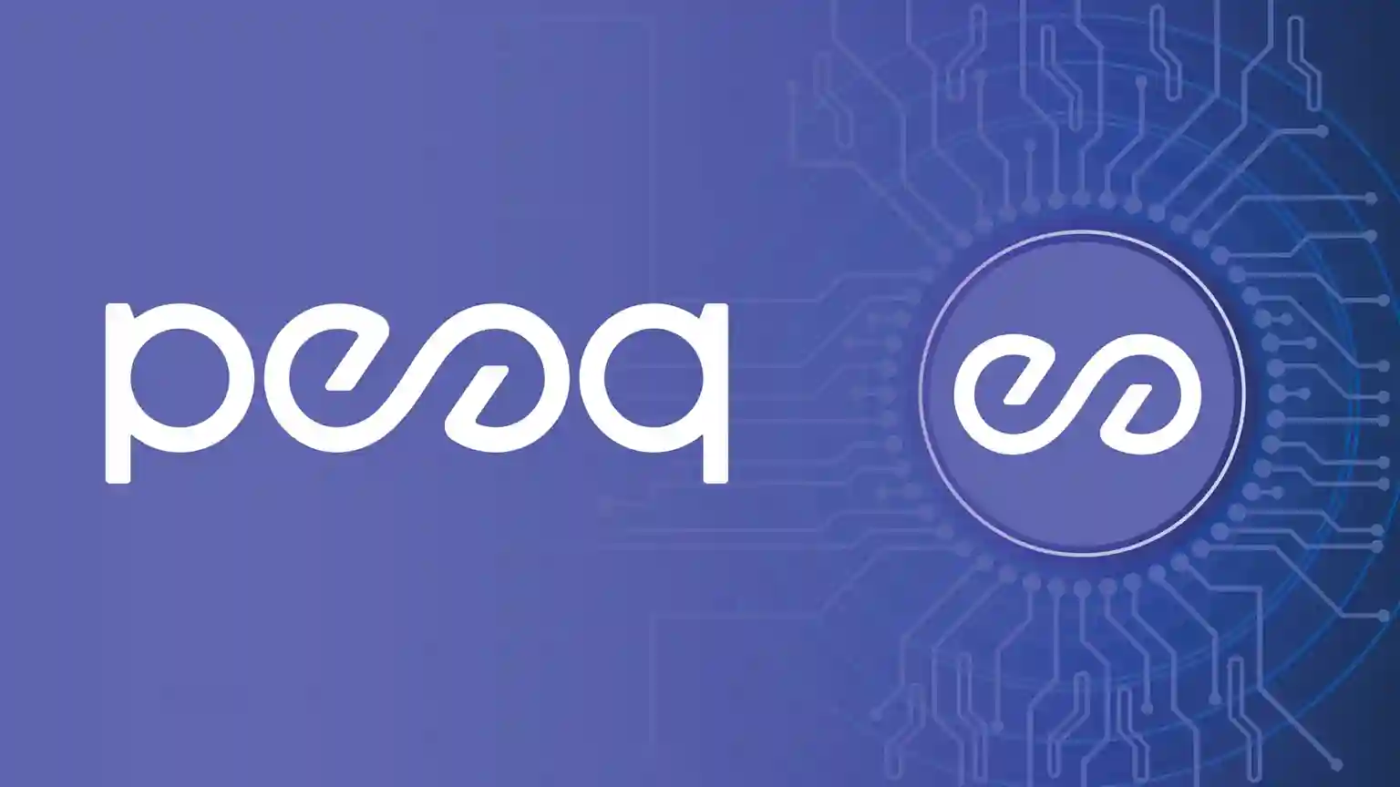 PEAQ robot coin
