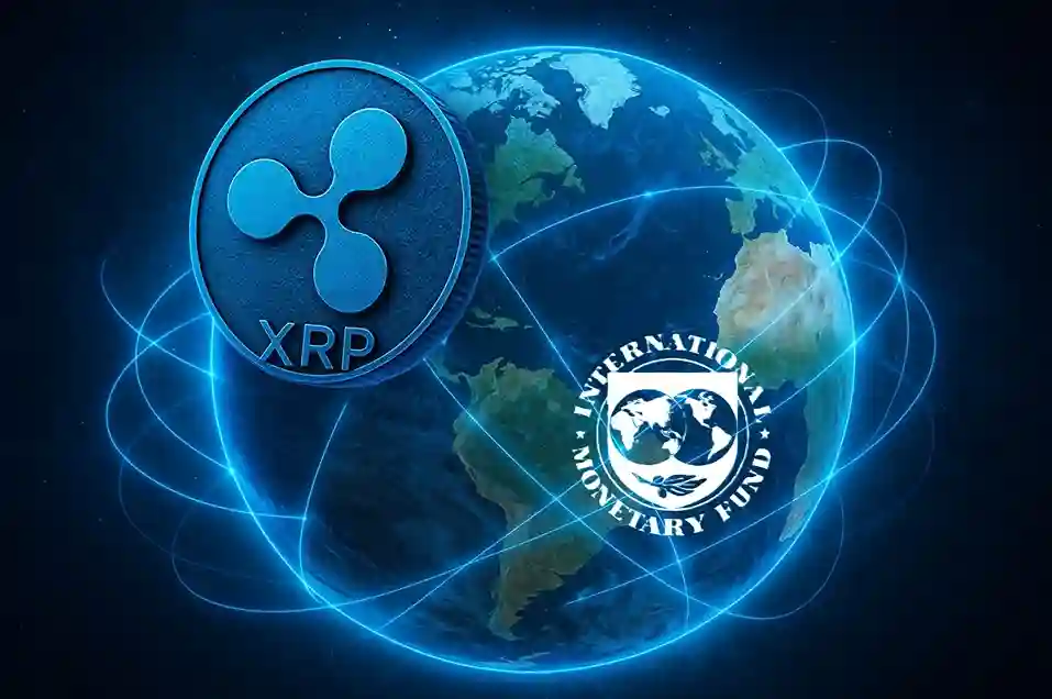 IMF Ripple xrp odul