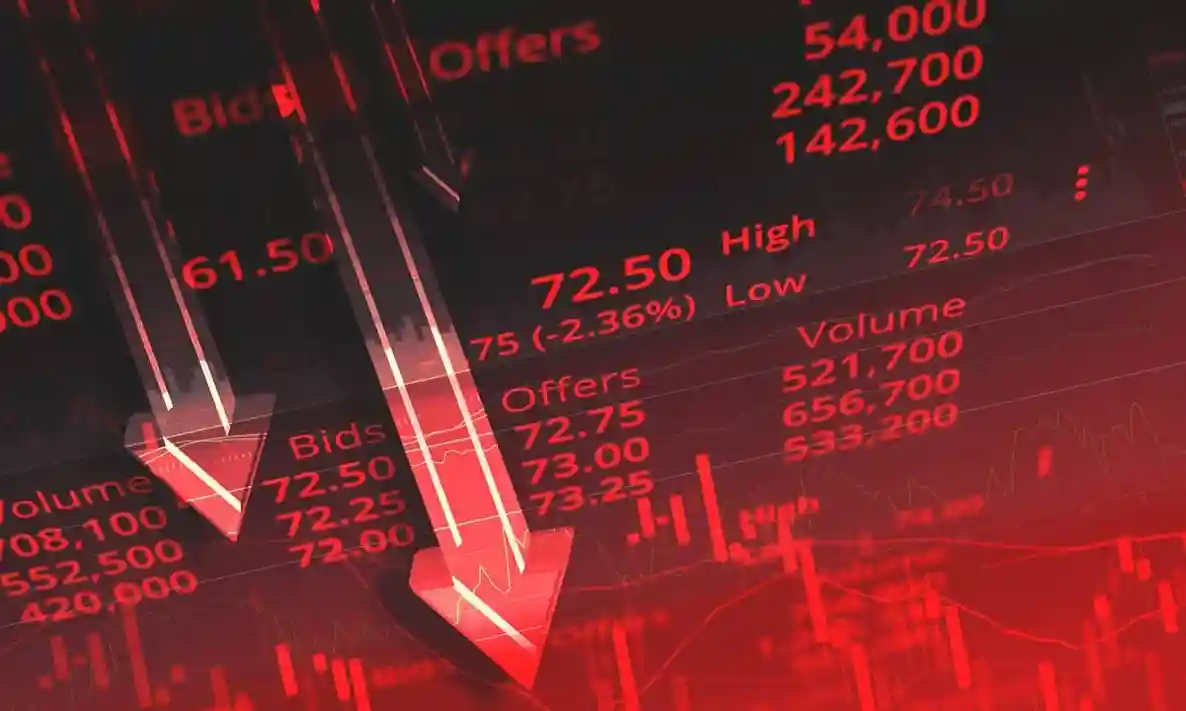 kripto para bitcoin altcoin dusus