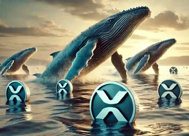 ripple balina satis xrp yukseliyor