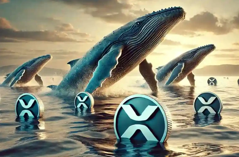 ripple balina satis xrp yukseliyor