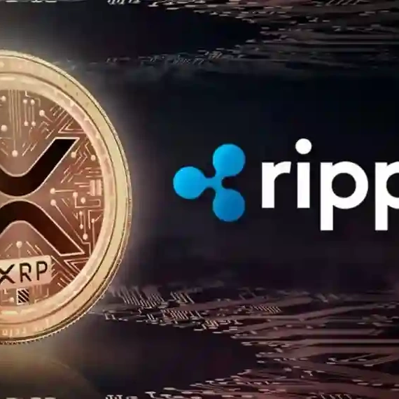 Ripple CEO’sundan XRP Yatırımcılarına: Fırsat Kapıda — Bu Gerçekten Oluyor!