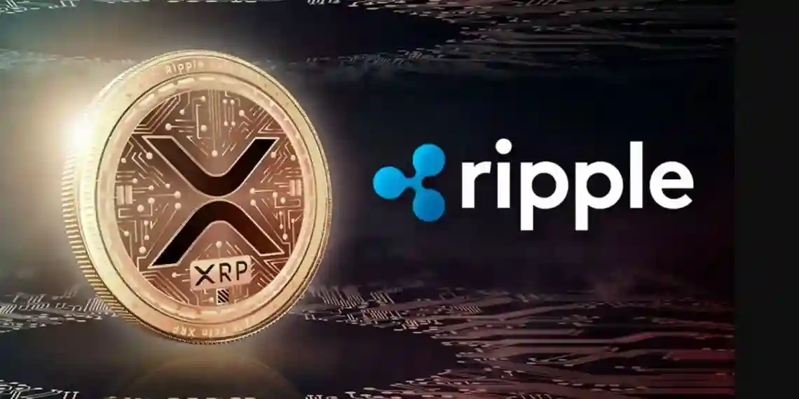 xrp ripple buyuk firsat