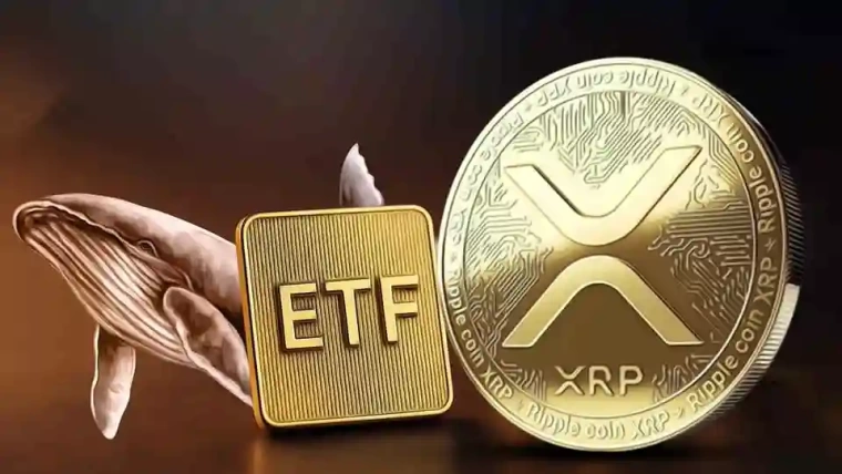 xrp ripple etf yukselis