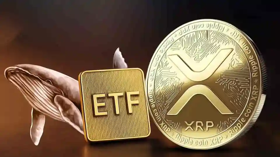 xrp ripple etf yukselis