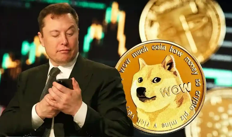 doge coin elon musk kripto para