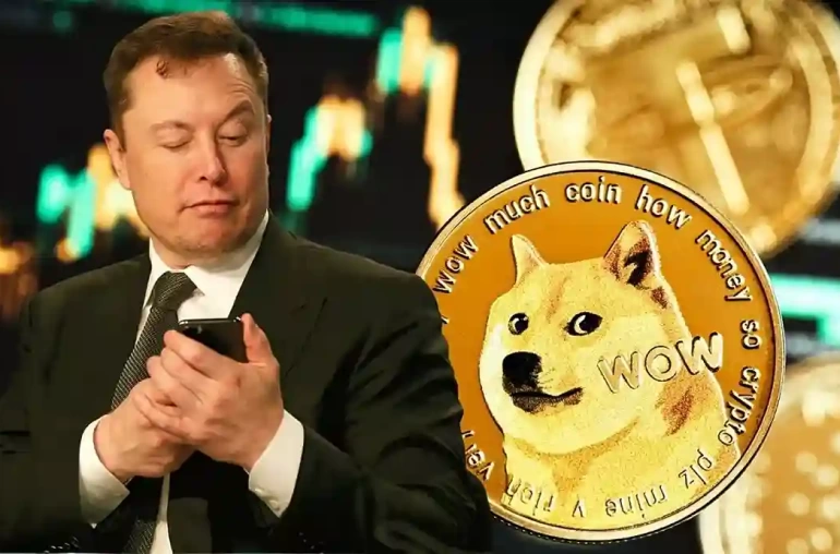doge coin elon musk kripto para