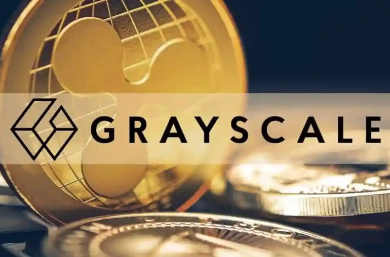 grayscale ripple cover