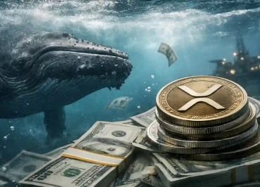 xrpde balina toplama xrp dusus