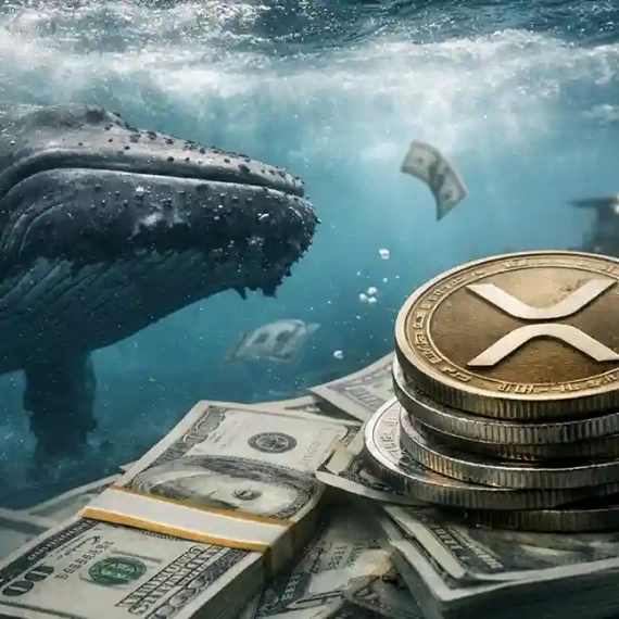 XRP Balinaları, Yüzde 9’luk Düşüşe Rağmen 170 milyon Token Satın Aldı?