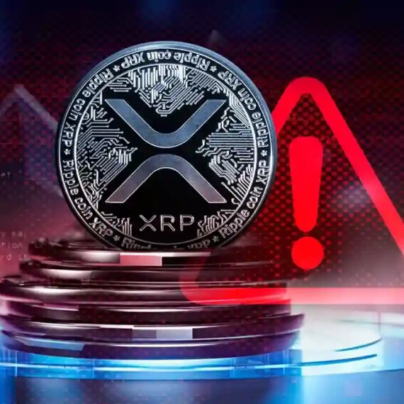 Açgözlü Ol: Ripple CEO’su XRP Fiyat Çöküşüne Tepki Verdi